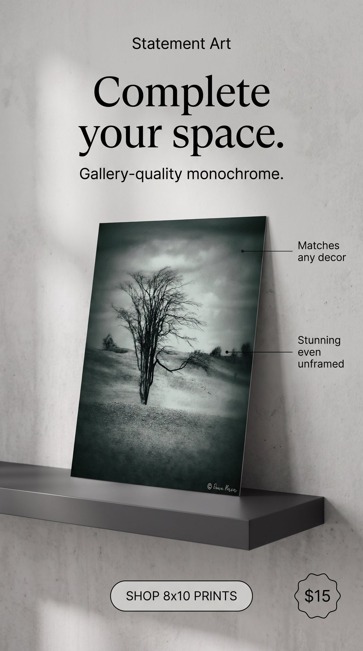 Surreal Tree in Meadow 8x12 Photographic Wall Print