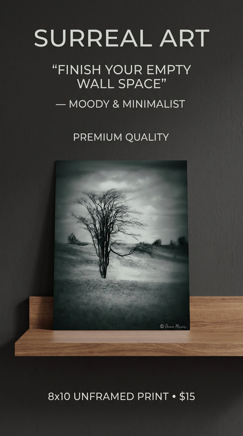 Surreal Tree in Meadow 8x12 Photographic Wall Print