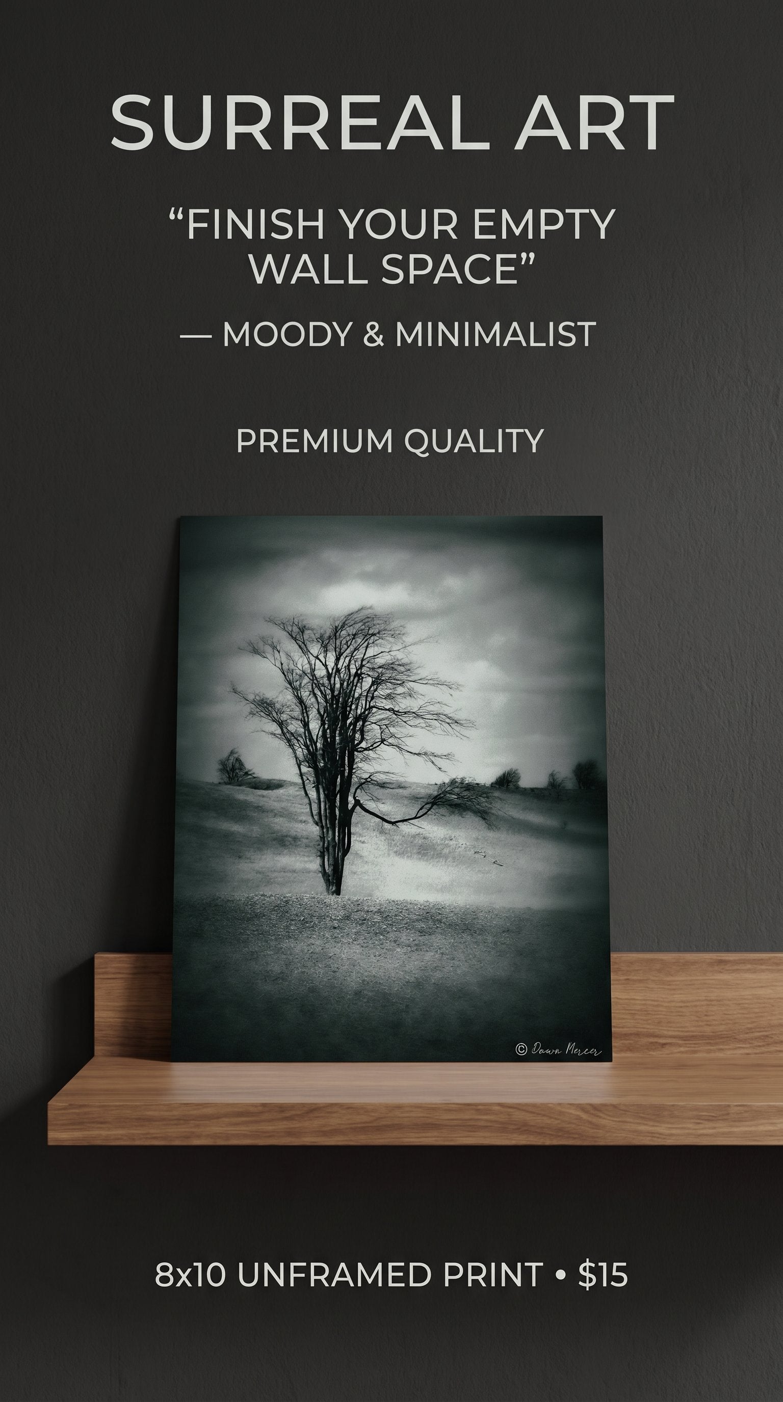 Surreal Tree in Meadow 8x12 Photographic Wall Print
